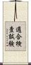 適合検査試験 Scroll