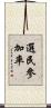 選民參加率 Scroll