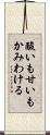 酸いも甘いもかみわける Scroll