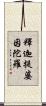 釋迦提婆因陀羅 Scroll