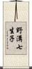 野溝七生子 Scroll