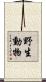 野生動物 Scroll