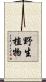 野生植物 Scroll