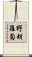野胡蘿蔔 Scroll