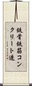 鉄骨鉄筋コンクリート造 Scroll