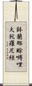 鉢蘭那賖嚩哩大陀羅尼經 Scroll