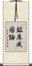 鉱床成因論 Scroll