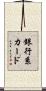 銀行系カード Scroll