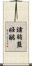 鏽胸藍姬鶲 Scroll