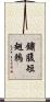 鏽腹短翅鶇 Scroll