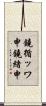 鐃循ッワ申鐃緒申 Scroll