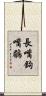 長嘴鉤嘴鶥 Scroll