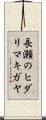 長瀬のヒダリマキガヤ Scroll