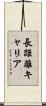 長距離キャリア Scroll