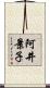 阿井景子 Scroll