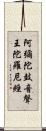 阿彌陀鼓音聲王陀羅尼經 Scroll