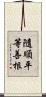 隨順平等善根 Scroll