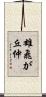 雄飛が丘仲 Scroll