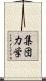 集団力学 Scroll