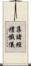集諸經禮懺儀 Scroll