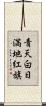 青天白日満地紅旗 Scroll