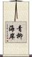 青柳海岸 Scroll
