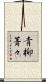 青柳菁々 Scroll