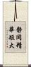 静岡精華短大 Scroll