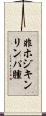 非ホジキンリンパ腫 Scroll