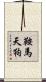 鞍馬天狗 Scroll