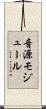 音源モジュール Scroll