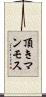 頂きマンモス Scroll