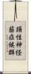 頚性神経筋症候群 Scroll