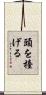 頭を擡げる Scroll