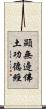 顯無邊佛土功德經 Scroll