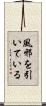 風邪を引いている Scroll