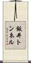 飯井トンネル Scroll