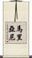 Mariani Scroll