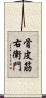 骨皮筋右衛門 Scroll