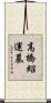 高橋紹運墓 Scroll