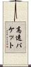 高速パケット Scroll