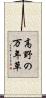 高野の万年草 Scroll