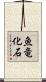 魚竜化石 Scroll