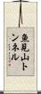 魚見山トンネル Scroll