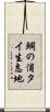 鯛の浦タイ生息地 Scroll