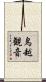鳥越観音 Scroll