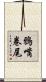 鴉嘴卷尾 Scroll
