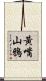 黃嘴山鴉 Scroll