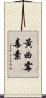 黃曲霉毒素 Scroll