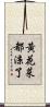 黃花菜都涼了 Scroll